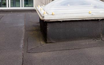 disadvantages of Alphington flat roofs