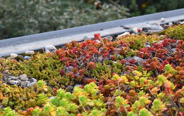 the cost of Alphington green roof installation