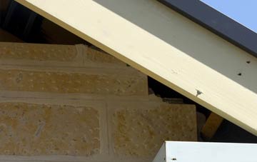 soffit repair Alphington